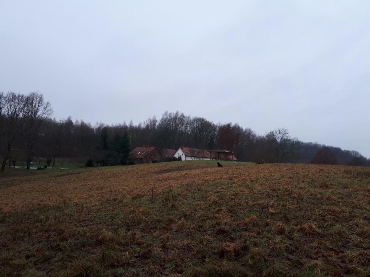Labadkowo Villa Labedzie Luaran gambar